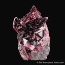 Erythrite from Bou Azzer Mine, Drâa-Tafilalet Region, Morocco - image 5