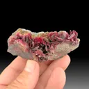 Erythrite from Bou Azzer mining district, Drâa-Tafilalet Region, Morocco - image 1