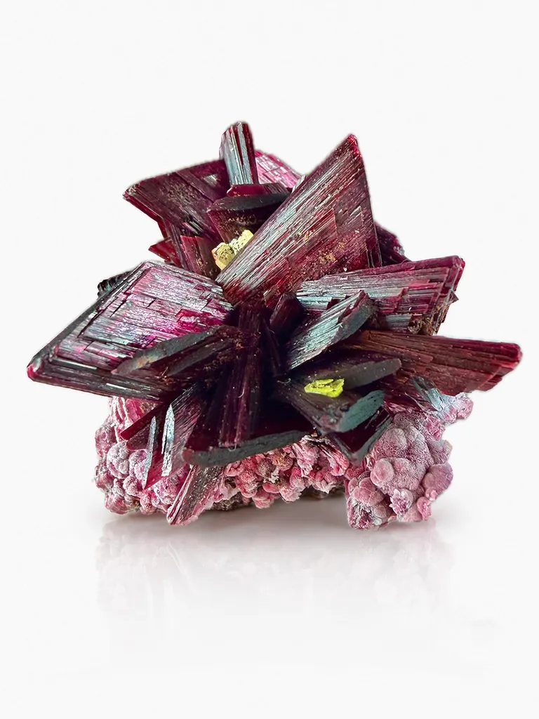 Erythrite from Morocco, Drâa-Tafilalet Region, Bou Azzer mining district image