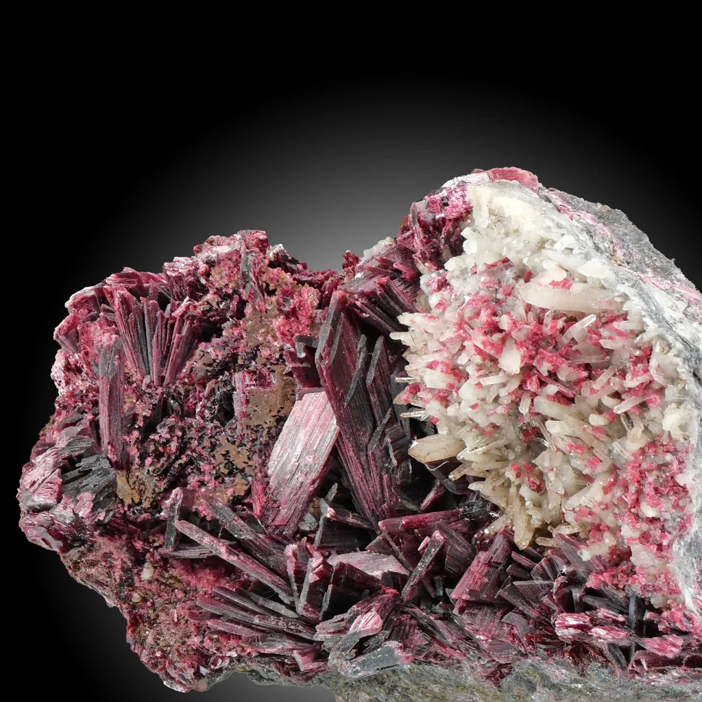 Erythrite from Morocco. Rich group of lanceolated tabular crystals of erythrite with very intense color on matrix with quartz crystals. - image 5