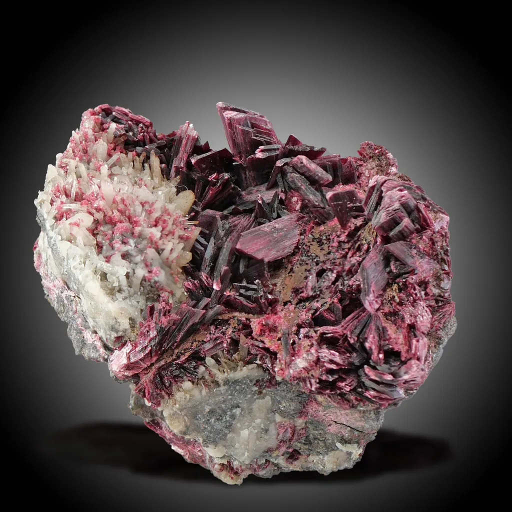 Erythrite from Morocco. Rich group of lanceolated tabular crystals of erythrite with very intense color on matrix with quartz crystals. image