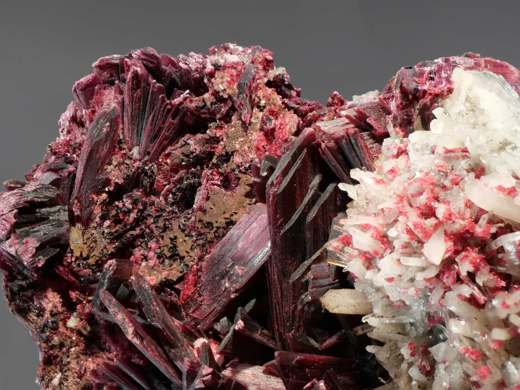 Erythrite from Morocco. Rich group of lanceolated tabular crystals of erythrite with very intense color on matrix with quartz crystals. - image 3