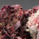 Erythrite from Morocco. Rich group of lanceolated tabular crystals of erythrite with very intense color on matrix with quartz crystals. - image 3