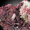 Erythrite from Morocco. Rich group of lanceolated tabular crystals of erythrite with very intense color on matrix with quartz crystals. - image 6