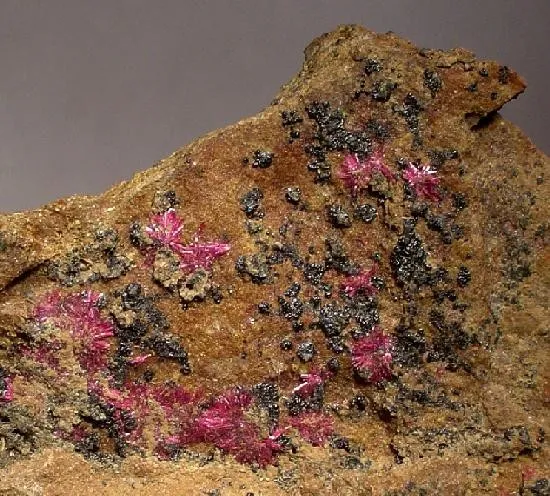 Erythrite, Heterogenite - image 2