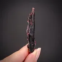 Erythrite (large crystals) - image 1