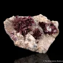 Erythrite on Calcite - image 1