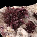Erythrite on Calcite - image 2
