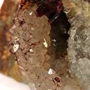 Erythrite on Quartz - image 3