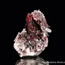 Erythrite on Quartz - image 6