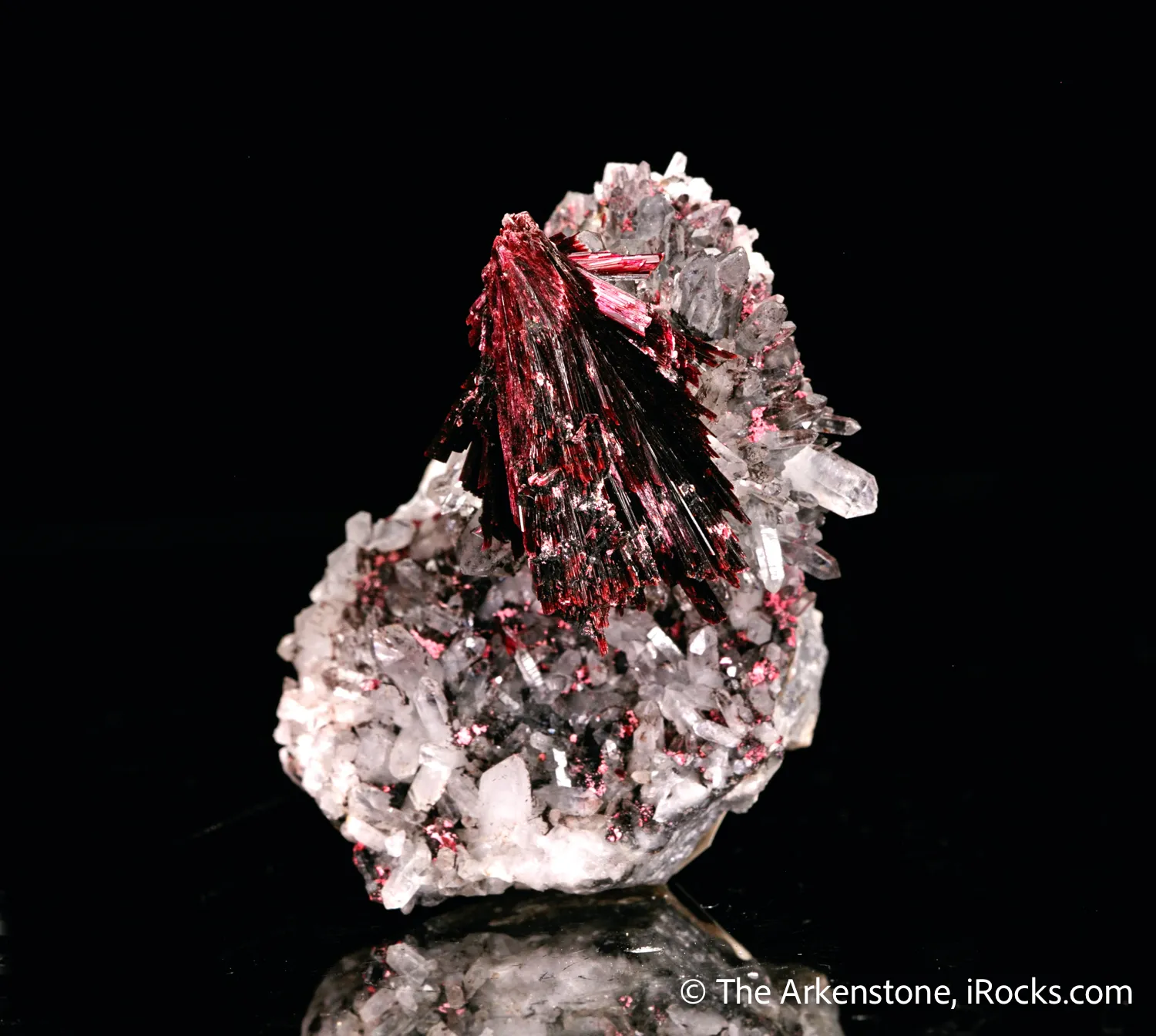 Erythrite on Quartz - image 6