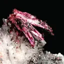 Erythrite on Quartz - image 1