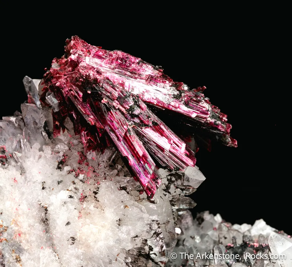Erythrite on Quartz image