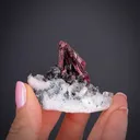 Erythrite on Quartz - image 2