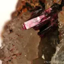 Erythrite on Quartz - image 4