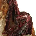 Erythrite on Quartz - image 2