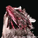 Erythrite on Quartz - image 7