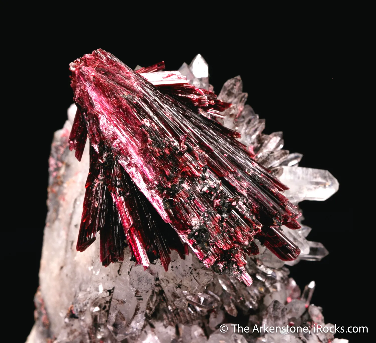 Erythrite on Quartz - image 7