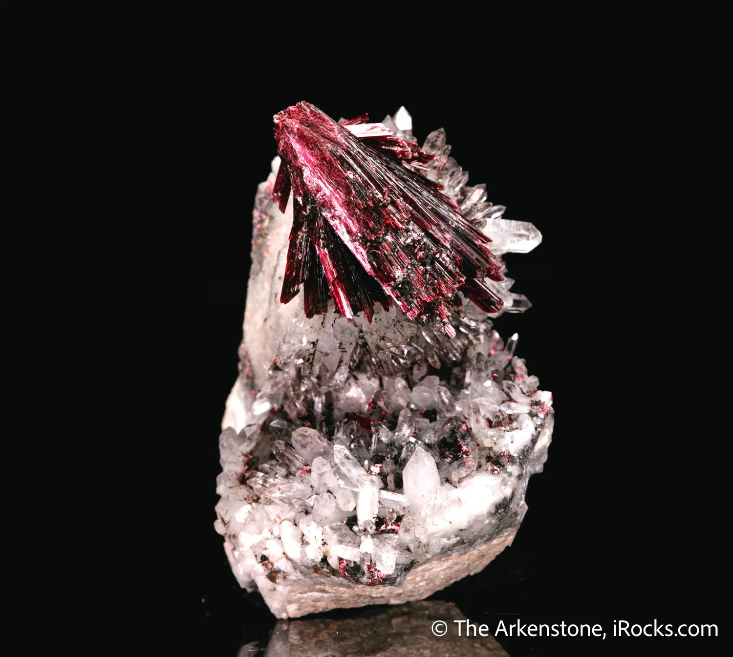 Erythrite on Quartz - image 4