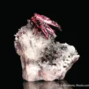 Erythrite on Quartz - image 5