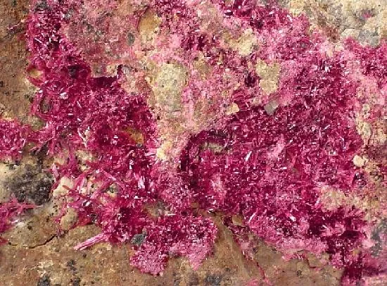 Erythrite, Stellerite - image 2