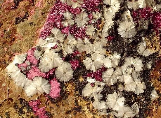 Erythrite, Stellerite - image 4