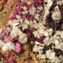 Erythrite, Stellerite - image 4