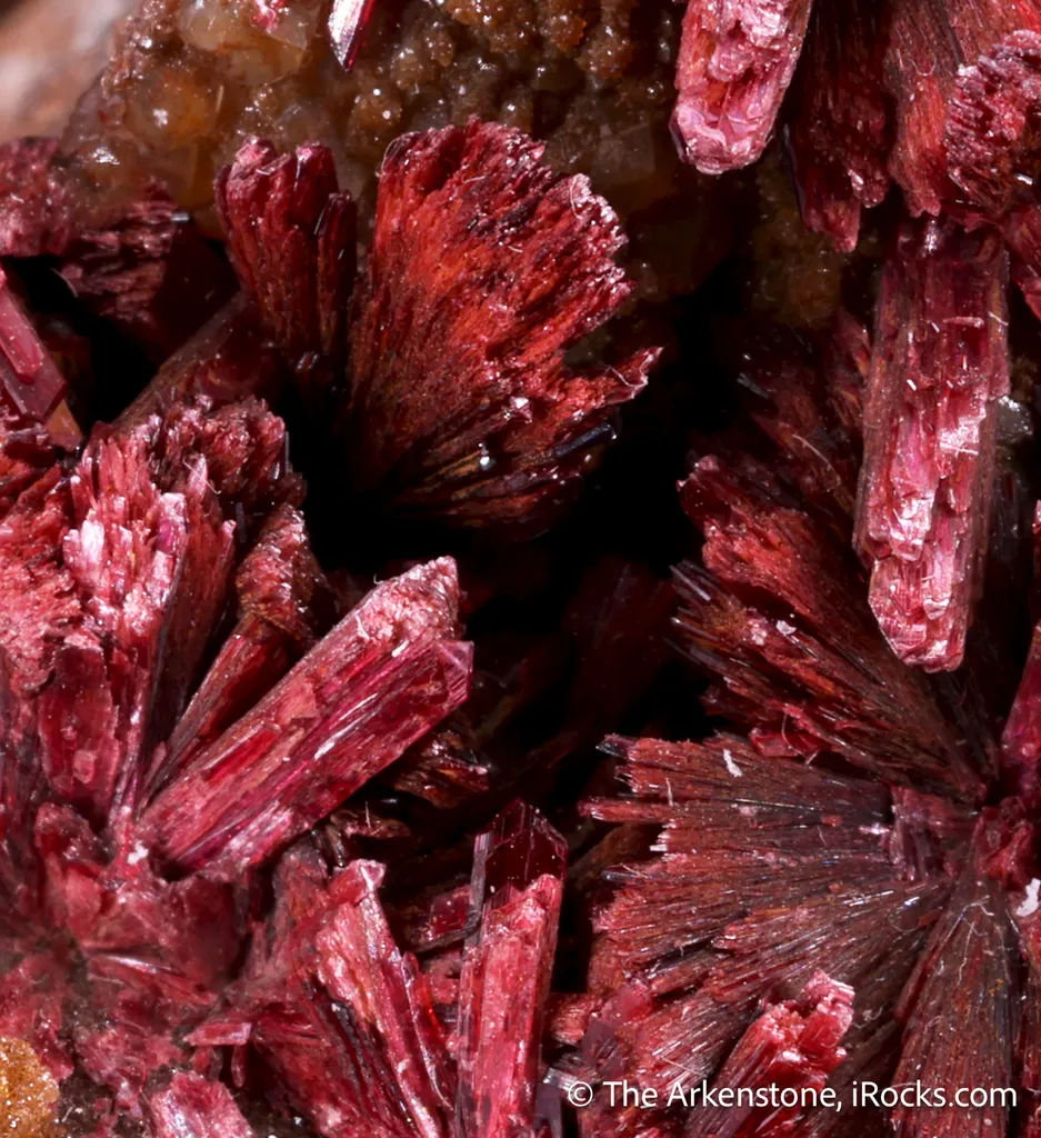 Erythrite (Type Locality)