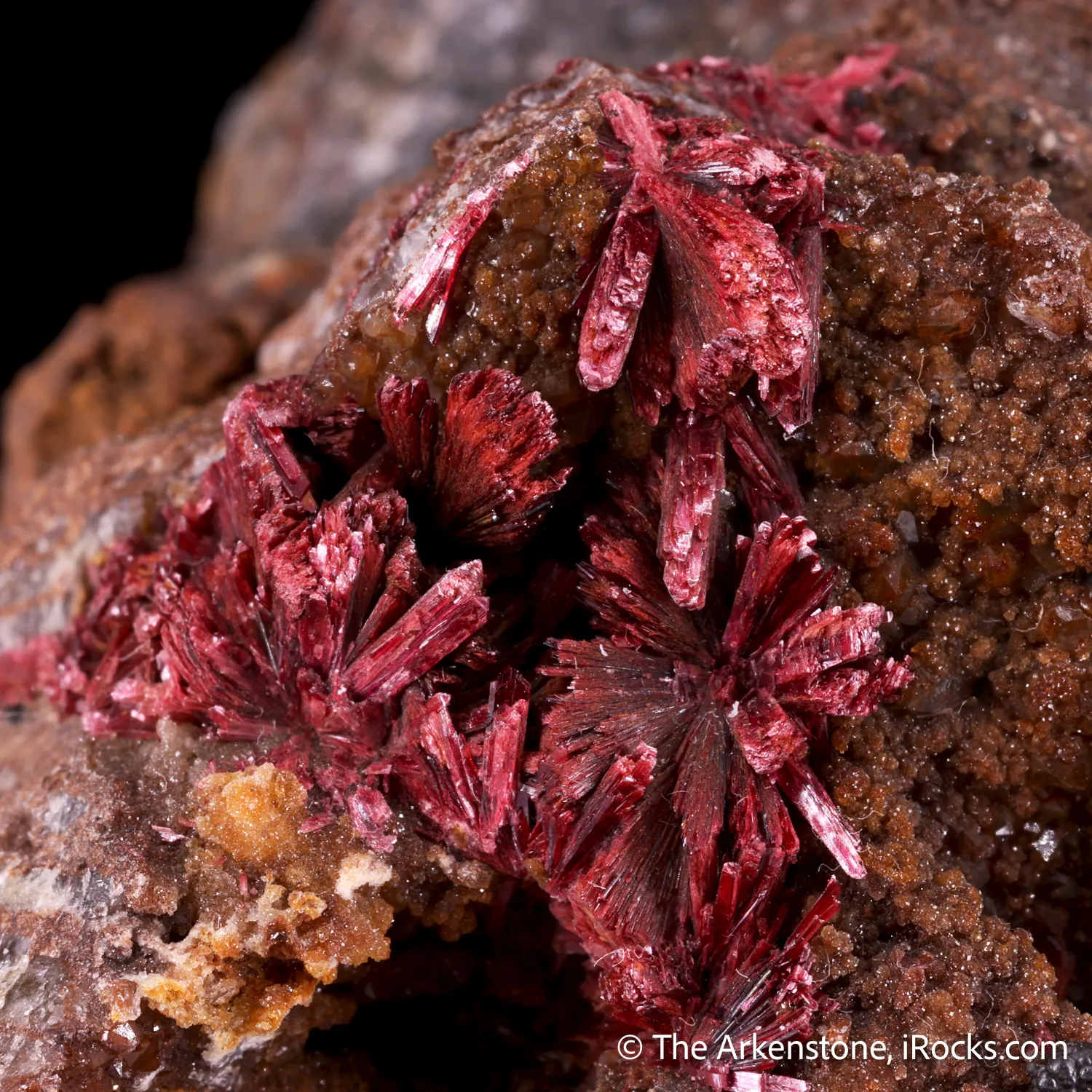 Erythrite (Type Locality) - image 4