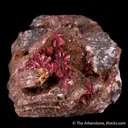 Erythrite (Type Locality) - image 5
