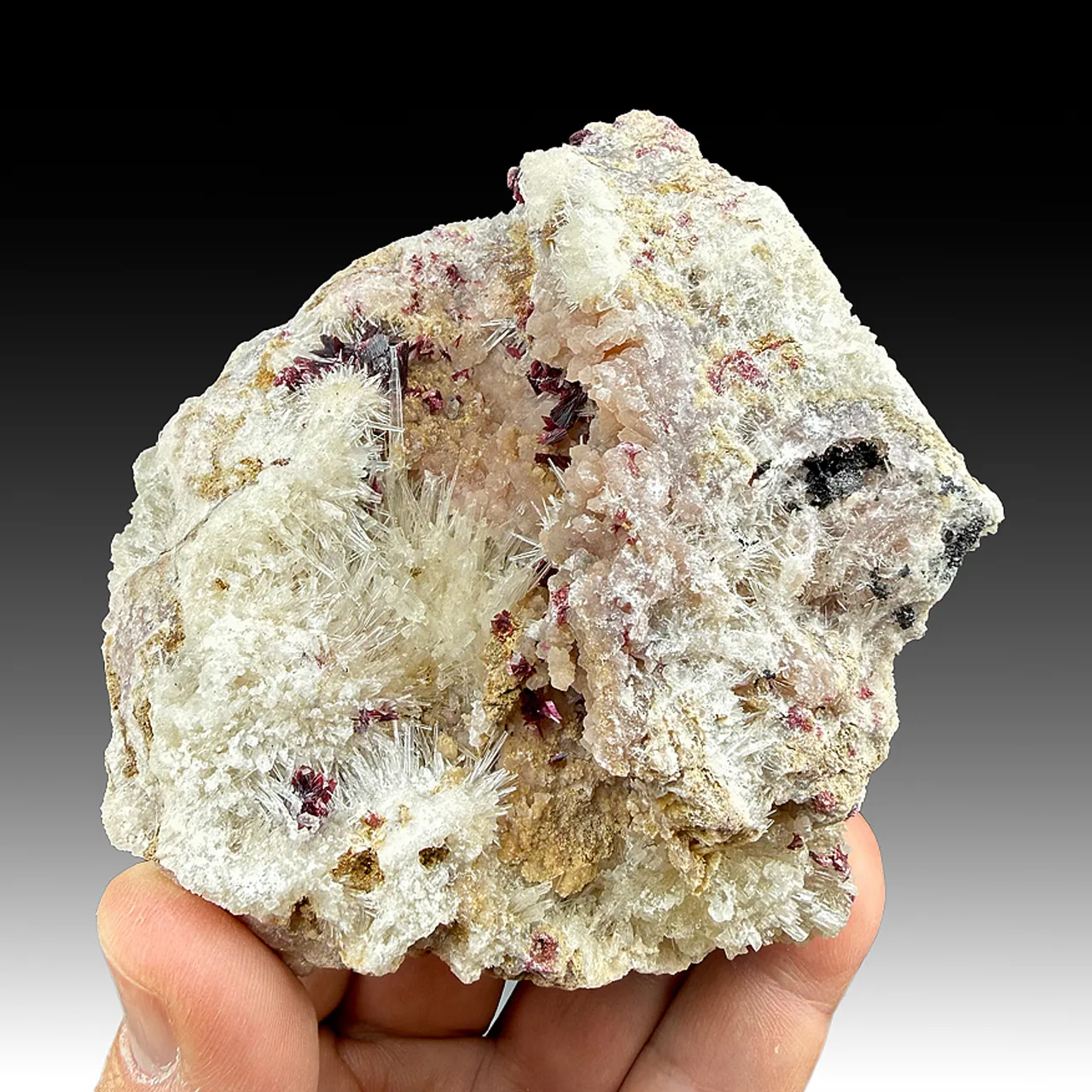Erythrite with Aragonite - image 2