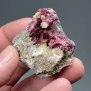 Erythrite with Quartz - image 2