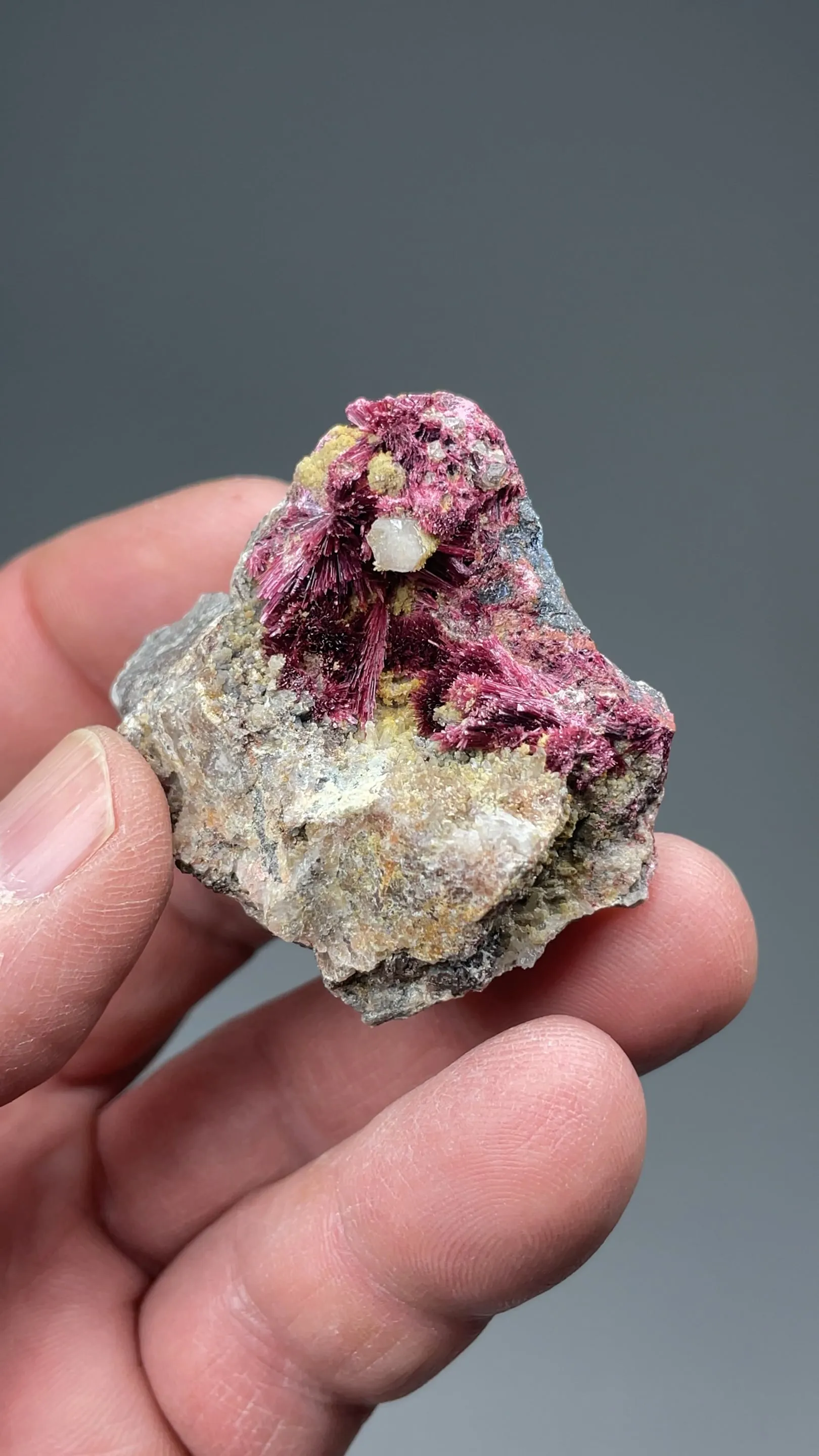 Erythrite with Quartz - image 2