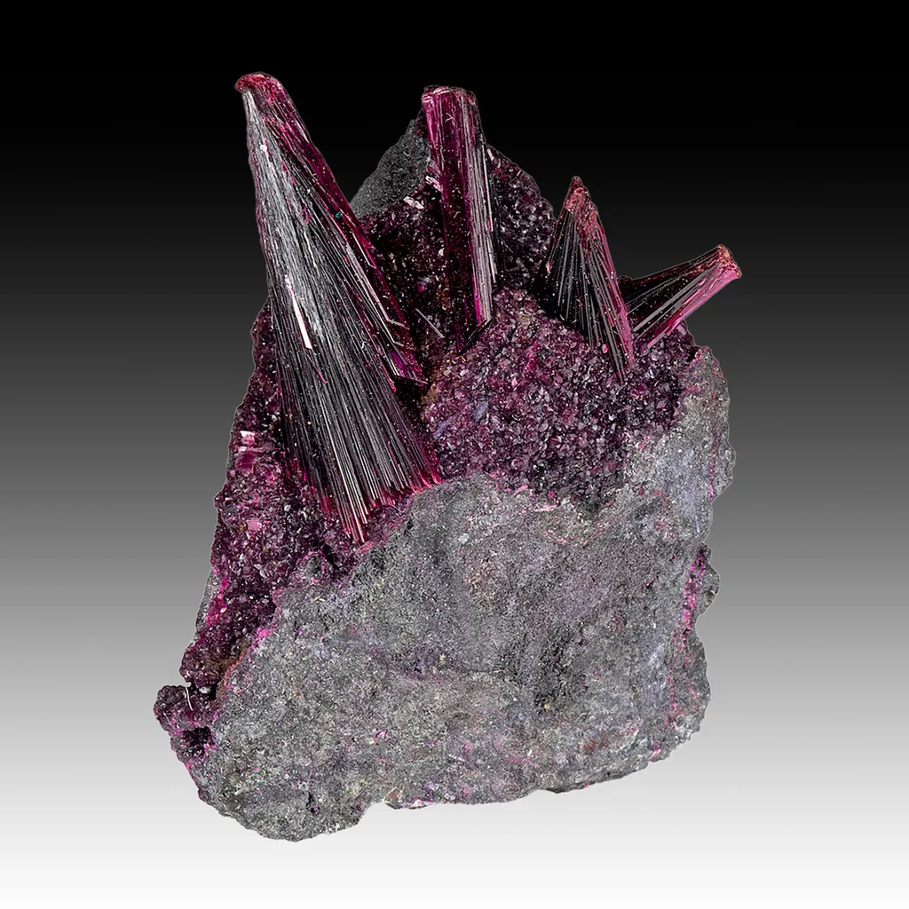 Erythrite with Roselite image