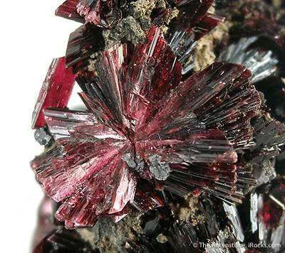 Erythrite With Skutterudite - image 3