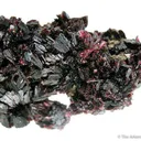 Erythrite With Skutterudite - image 1