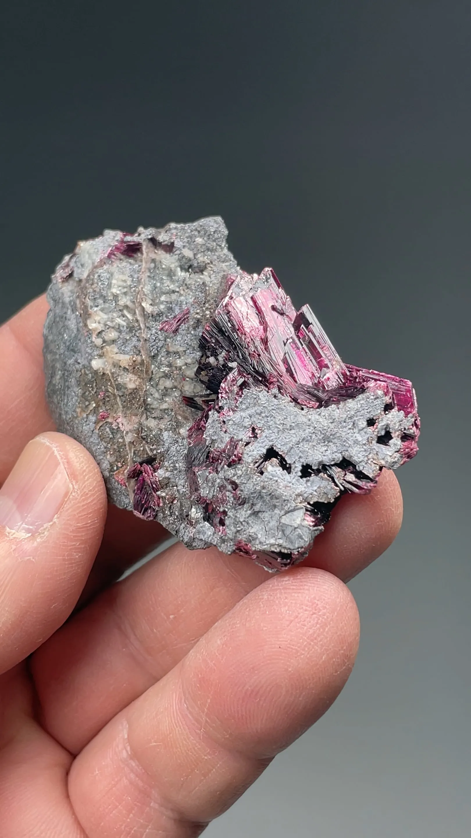Erythrite with Skutterudite - image 2