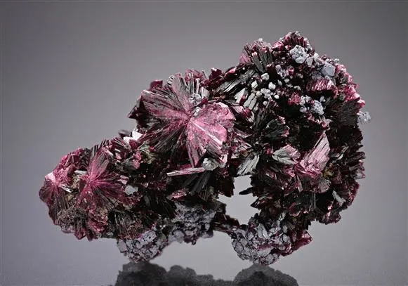 Erythrite with Skutterudite image
