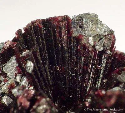 Erythrite With Skutterudite - image 2