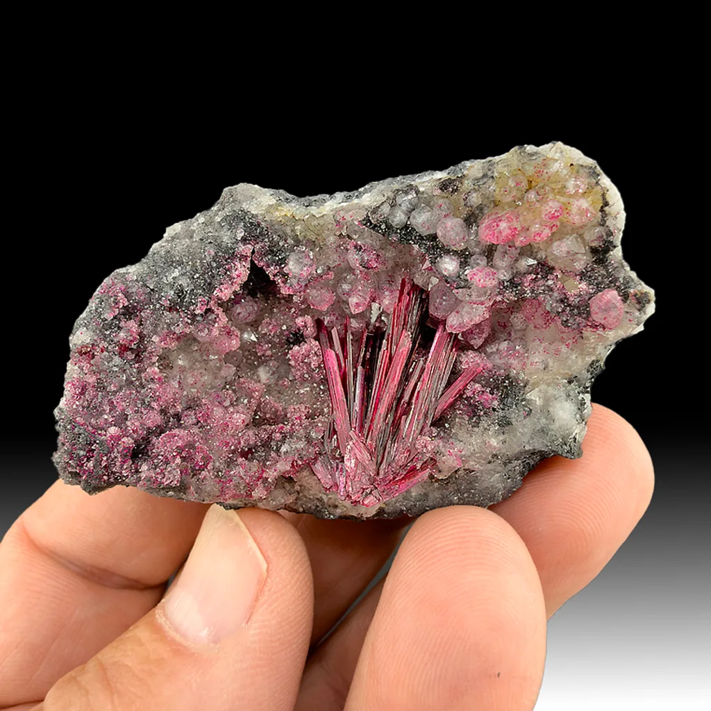 Erythrite with Sphaerocobaltite, Quartz image