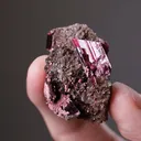 Erythrite with SPHEROCOBALTITE - image 2
