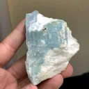 specimen video