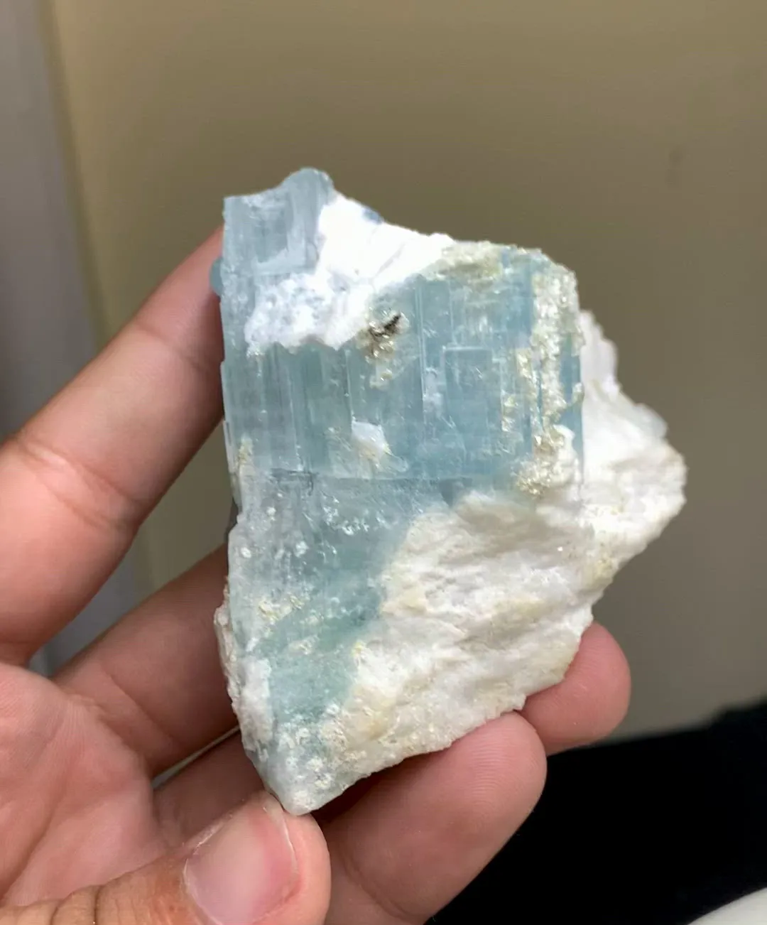 specimen video