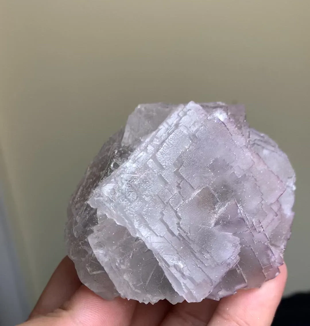 specimen video
