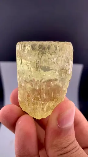 specimen video
