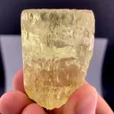 specimen video