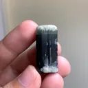 specimen video