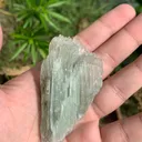 Etched Green Kunzite Crystal from Afghanistan - image 6