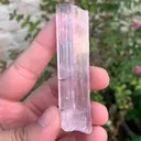 specimen video