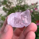 specimen video